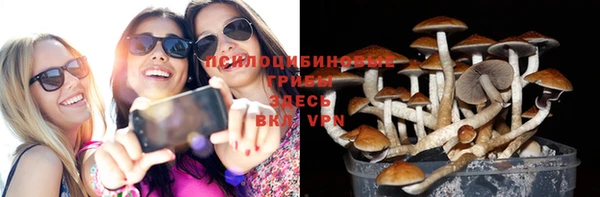 амф Балахна