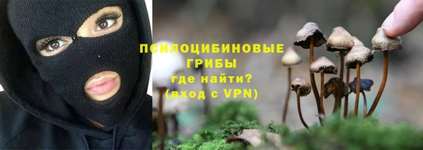 индика Балабаново