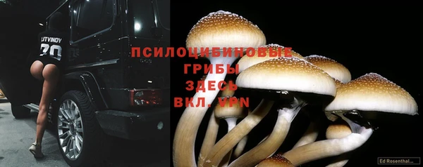 МДПВ Белоозёрский
