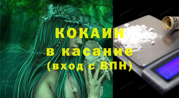 индика Балабаново