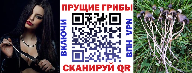 Псилоцибиновые грибы Magic Shrooms  Купить  Сосновоборск 